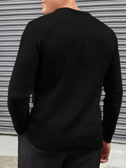 MEN SOLID ROUND NECK JUMPER