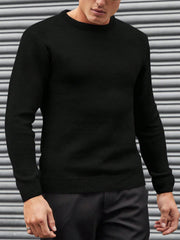 MEN SOLID ROUND NECK JUMPER