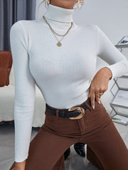 Womens Turtleneck Ribbed Knit Sweater