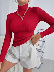 Womens Turtleneck Ribbed Knit Sweater